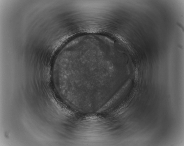 X0000101970540200808081553
