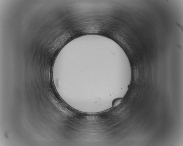 X0000101970541200808081553
