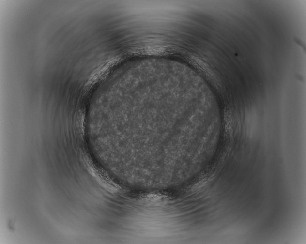 X0000101970542200808081553