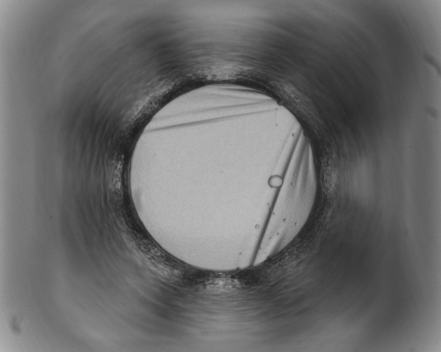 X0000101970543200808081553