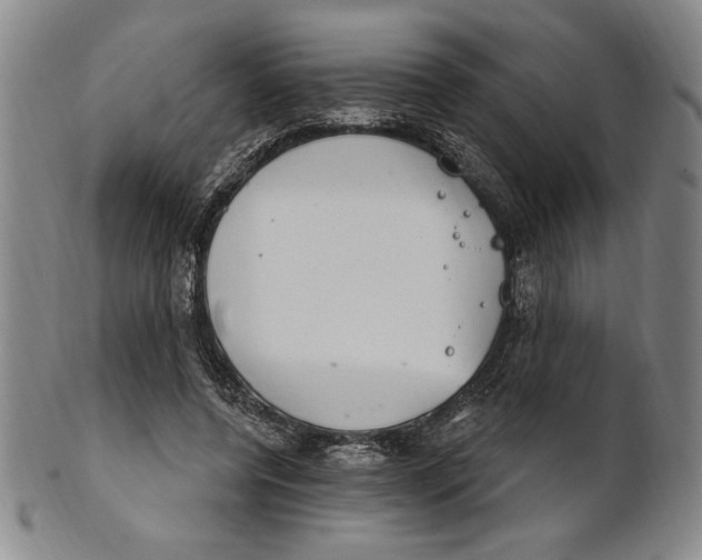 X0000101970544200808081553