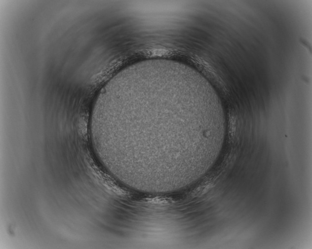 X0000101970545200808081553