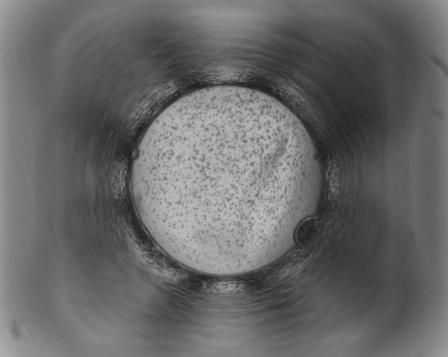 X0000101970546200808081553