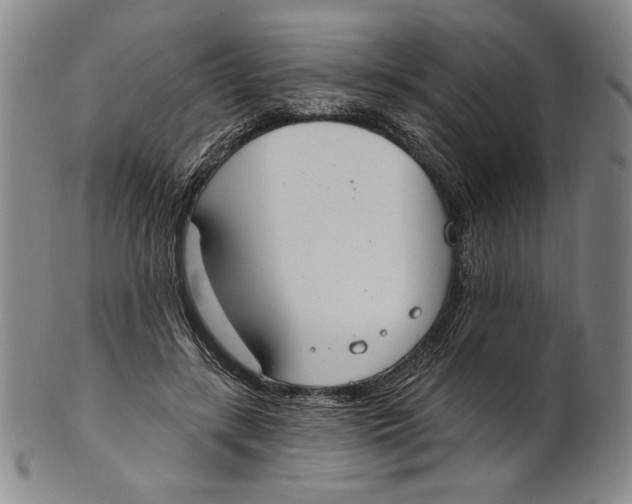 X0000101970547200808081553