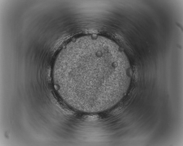 X0000101970548200808081553