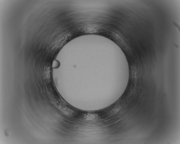 X0000101970549200808081553