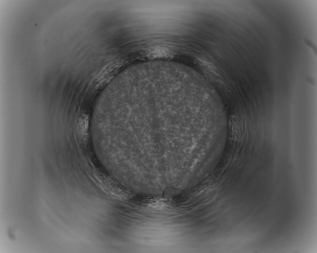 X0000101970550200808081553