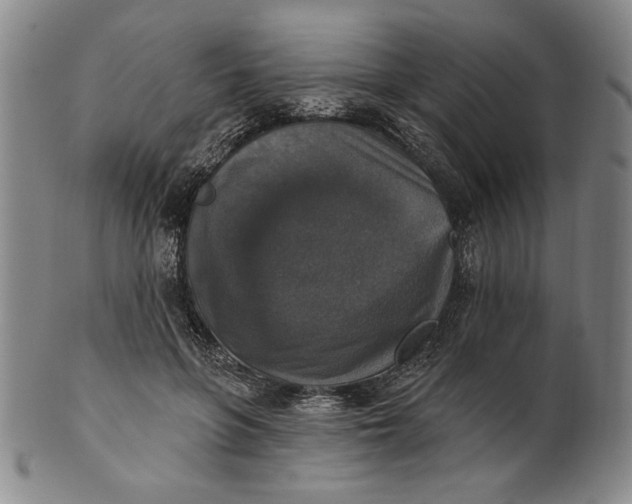 X0000101970551200808081553