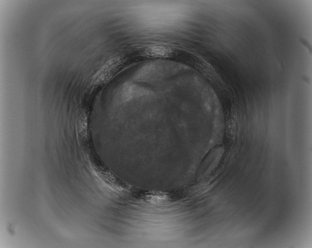 X0000101970552200808081553