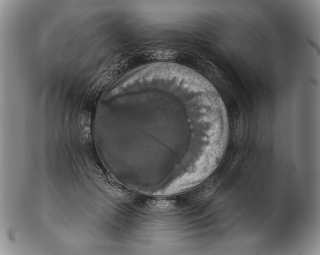 X0000101970553200808081553