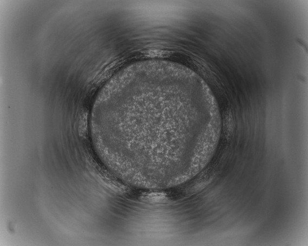 X0000101970554200808081553