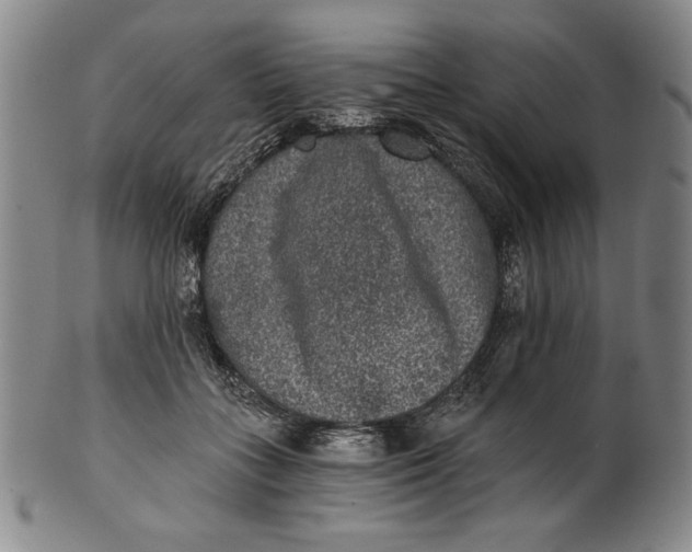 X0000101970555200808081553
