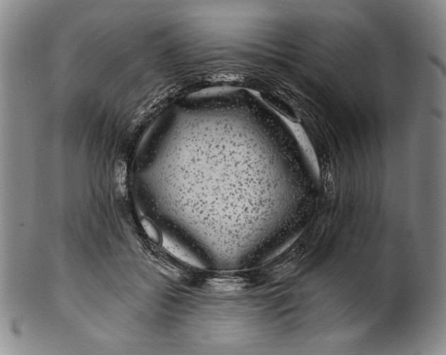 X0000101970556200808081553