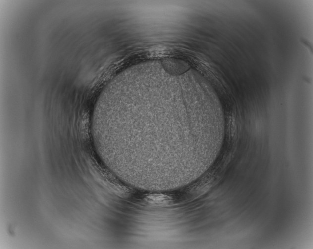 X0000101970557200808081553