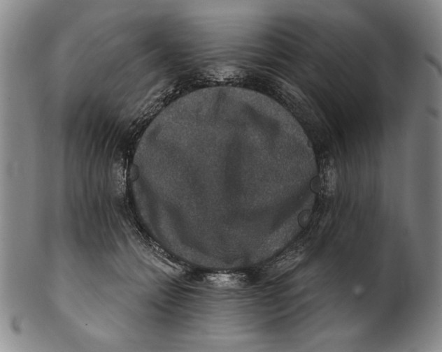 X0000101970558200808081553