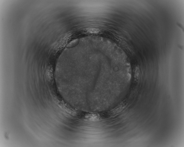 X0000101970559200808081553