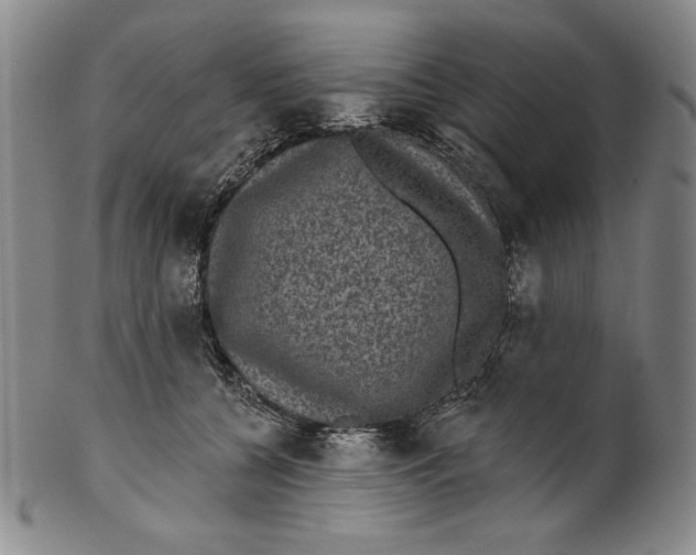 X0000101970560200808081553