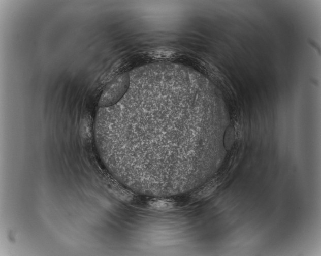 X0000101970561200808081553