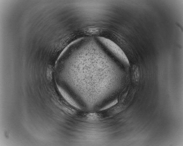 X0000101970562200808081553