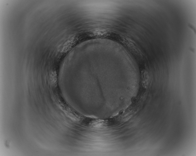 X0000101970563200808081554