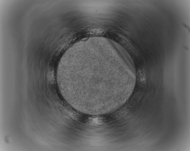 X0000101970564200808081554