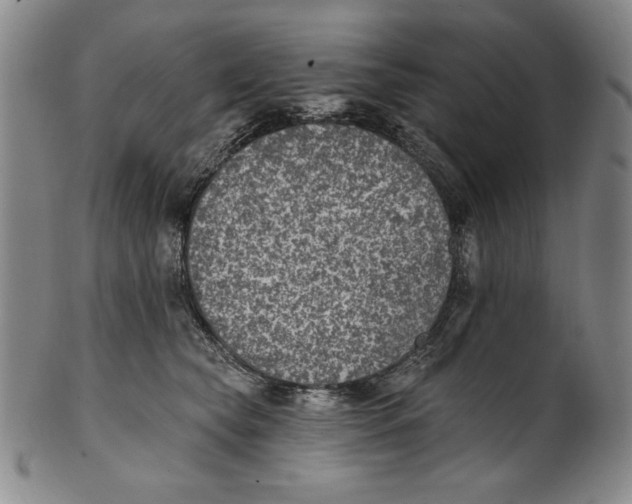 X0000101970565200808081554