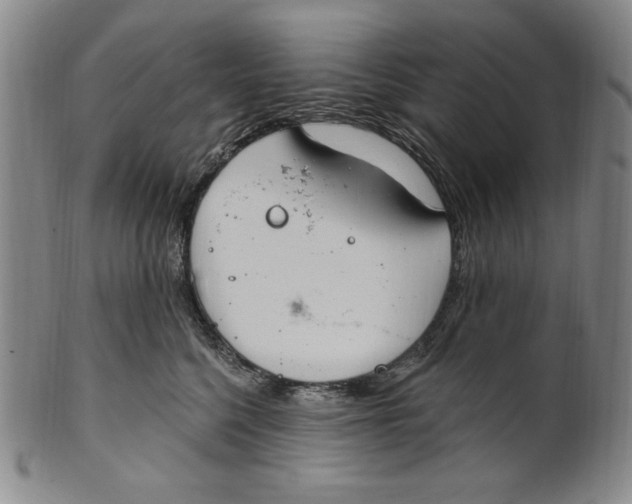 X0000101970568200808081554