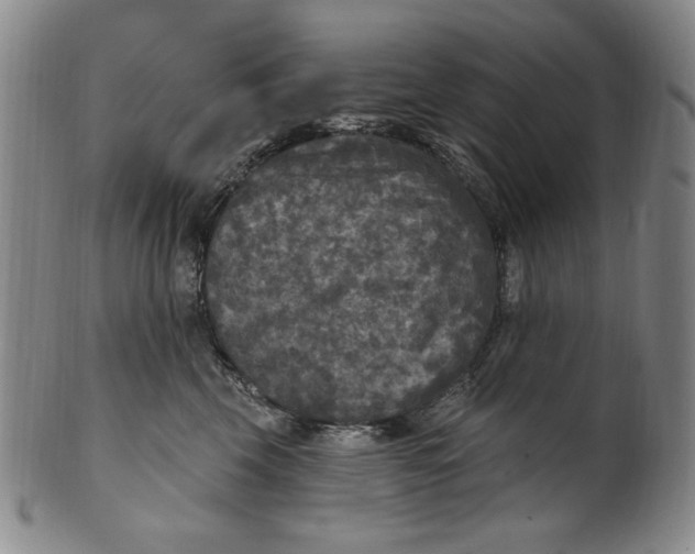 X0000101970569200808081554