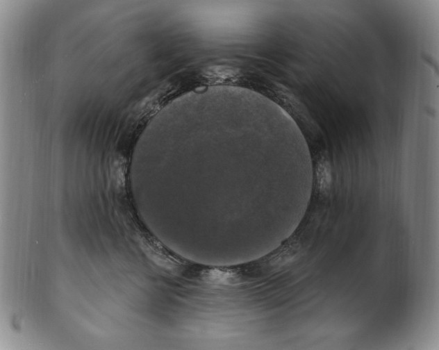 X0000101970570200808081554