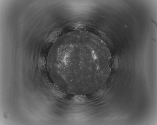 X0000101970571200808081554