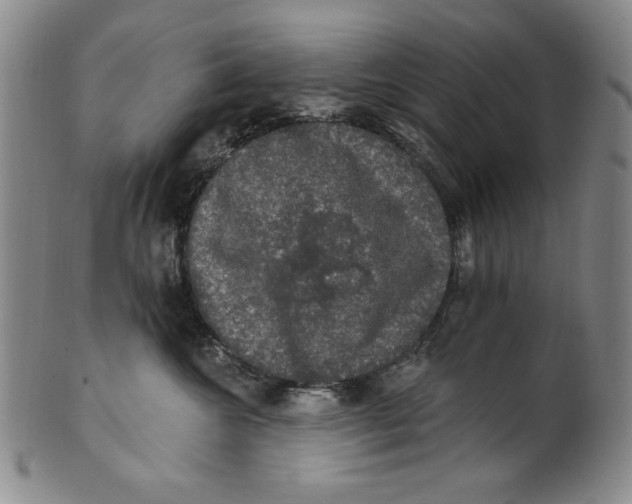 X0000101970572200808081554