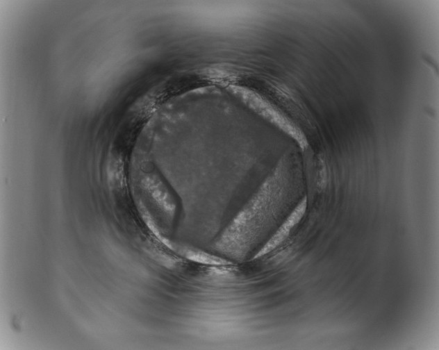 X0000101970573200808081554