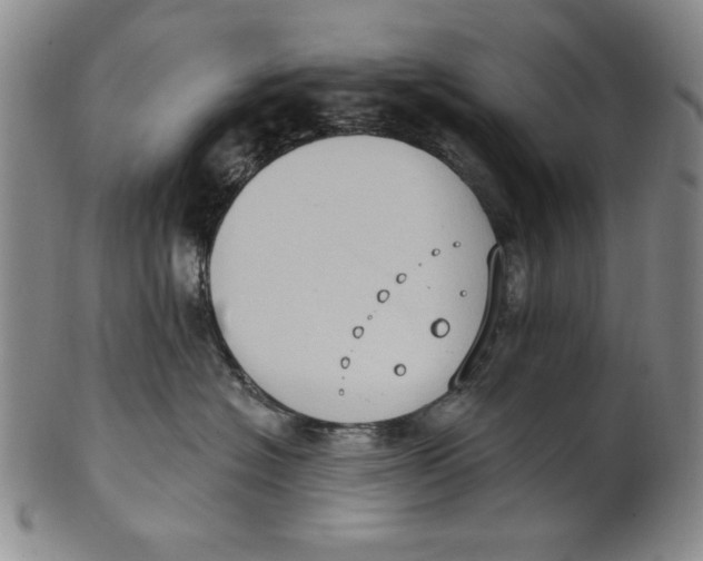 X0000101970574200808081554
