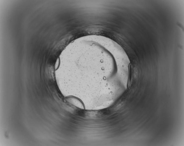 X0000101970575200808081554