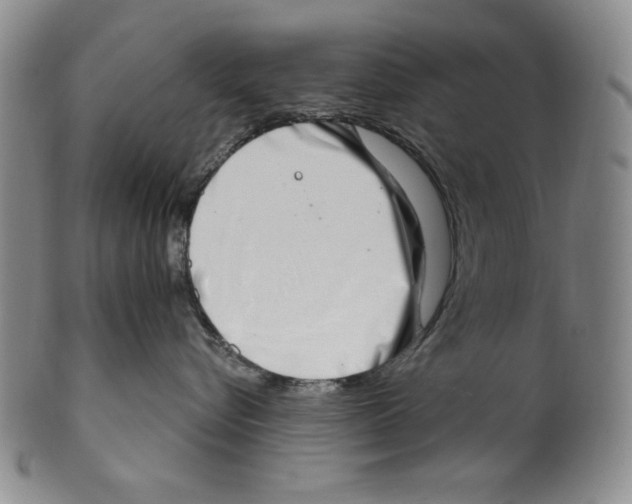X0000101970576200808081554