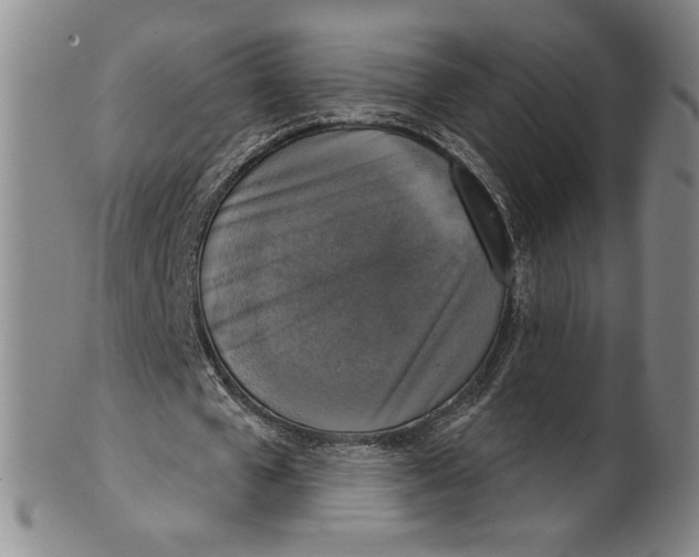 X0000101970577200808081553