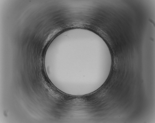 X0000101970578200808081553