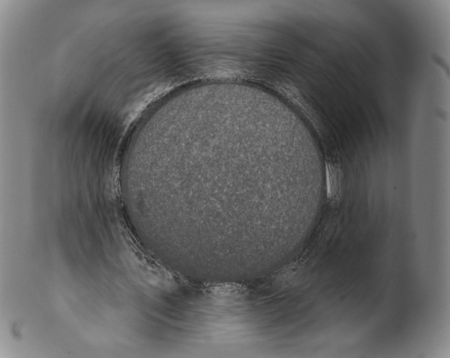 X0000101970579200808081553