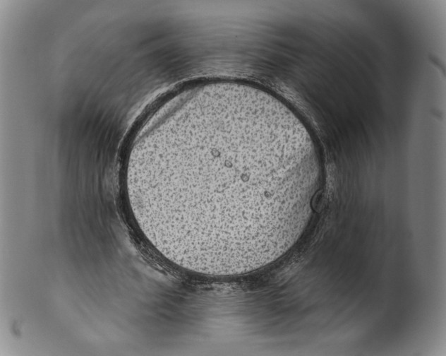X0000101970580200808081553