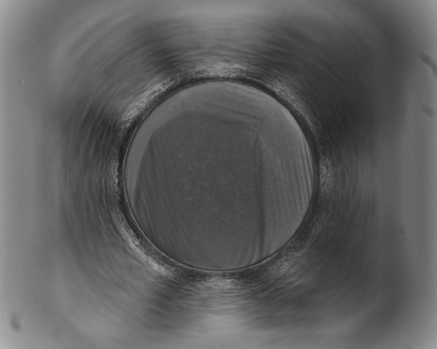 X0000101970581200808081553