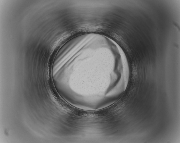 X0000101970582200808081553