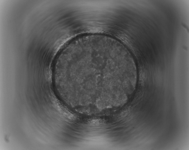 X0000101970584200808081553