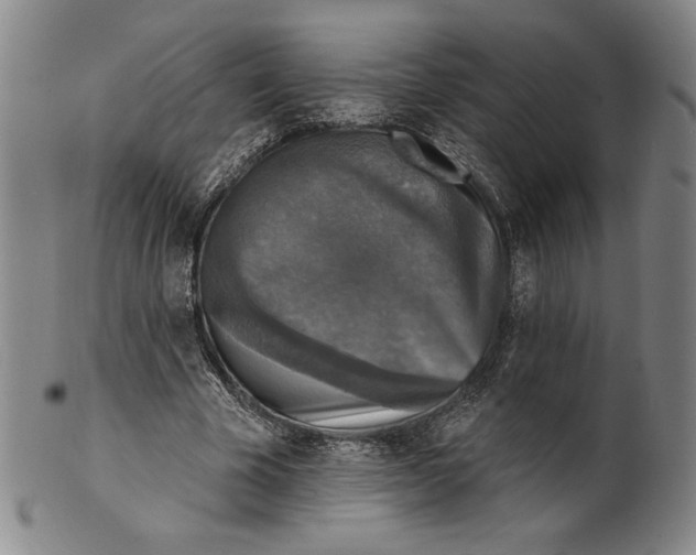 X0000101970585200808081553