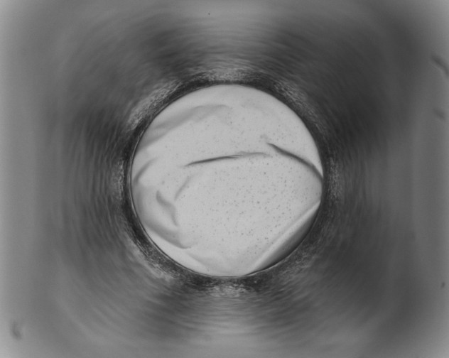 X0000101970586200808081553