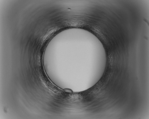 X0000101970587200808081553