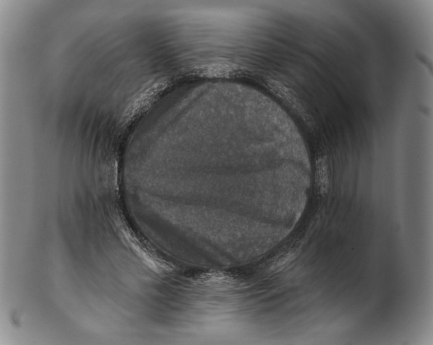 X0000101970589200808081553