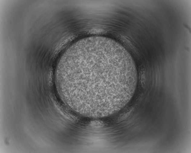 X0000101970591200808081553