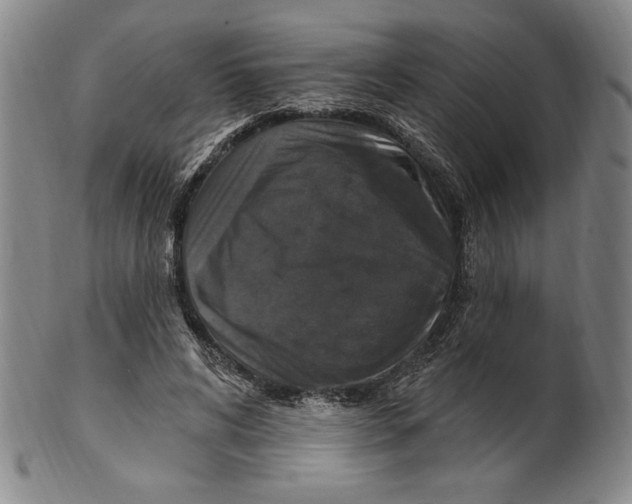 X0000101970592200808081553