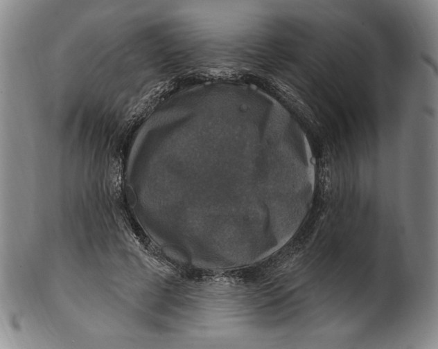 X0000101970593200808081553