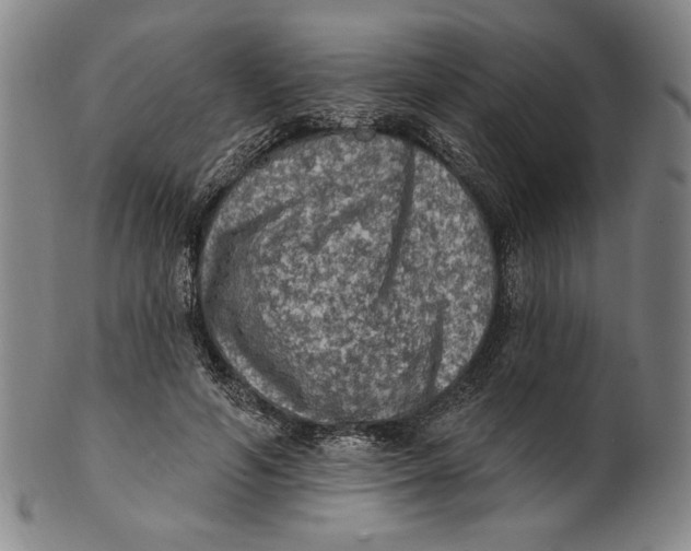 X0000101970594200808081553